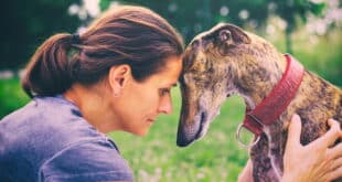 Night Race Against Cancer - CSN News