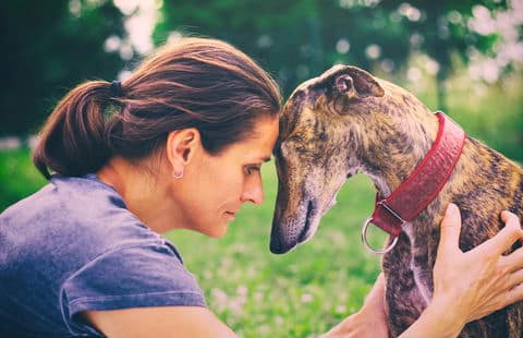 Night Race Against Cancer - CSN News