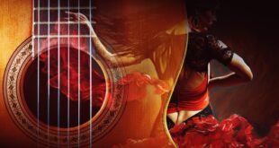 A Night of Flamenco Magic in Vera - CSN News