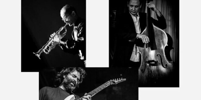 Smooth sounds in Estepona – Bossa Nova Trio live! - Costa News Spain