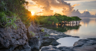 Japan’s Blue Zone Okinawa launches longevity-themed wellness tour - CSN News