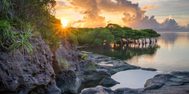 Japan’s Blue Zone Okinawa launches longevity-themed wellness tour - CSN News