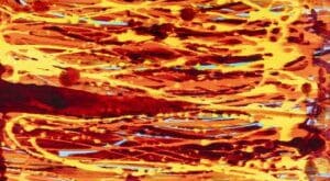 Sharkey, Ireland’s most collectible artist unveils Malaga gallery - Costa News Spain