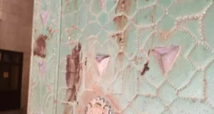 Outrage in Alicante as poo is repeatedly smeared on public buildings and making streets ‘stink’