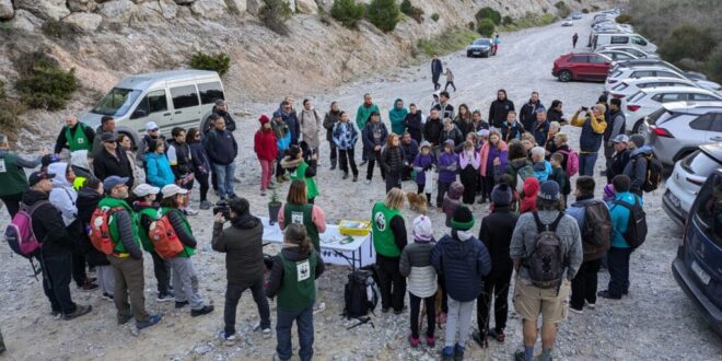 A mountain of hope: 100 volunteers plant to revive Mijas’ forests - Costa News Spain