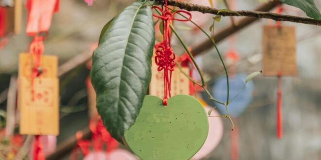 La Cala Lions Forget-me-not Valentine’s tree and fete - Costa News Spain