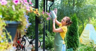 Greener pastures: The rise of outdoor spaces in 2025 home design - CSN News