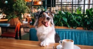 Walking Together - CSN News