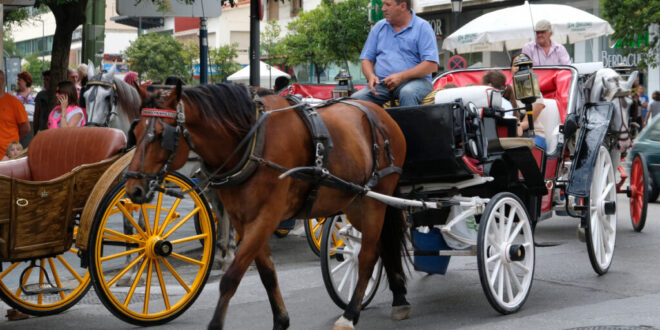 Horse-drawn Marbella faces new rules - Costa News Spain
