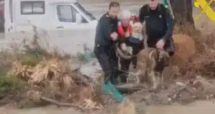 Artist Michele Winfield interview - CSN News