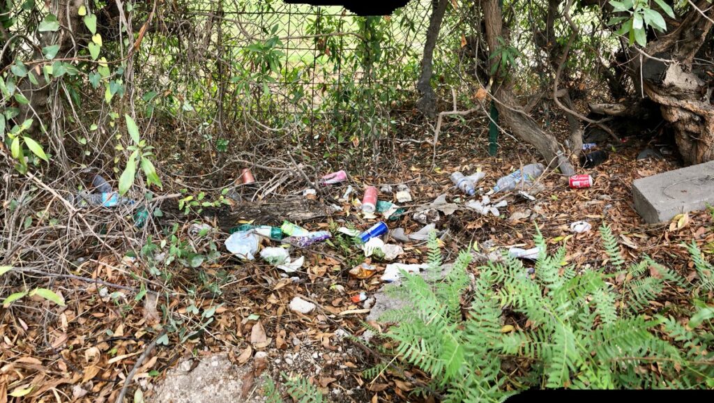 Image of litter around San Pedro.