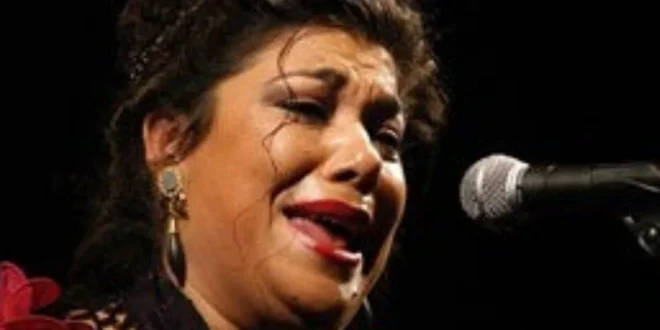CSN News Top flamenco performers to perform at Soho Theatre in Malaga
