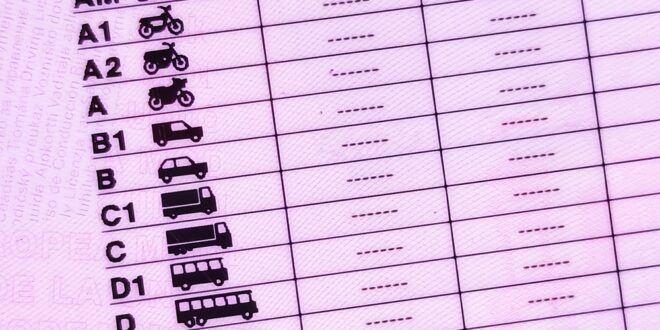 Spain’s driving licence points system: How it works - CSN News