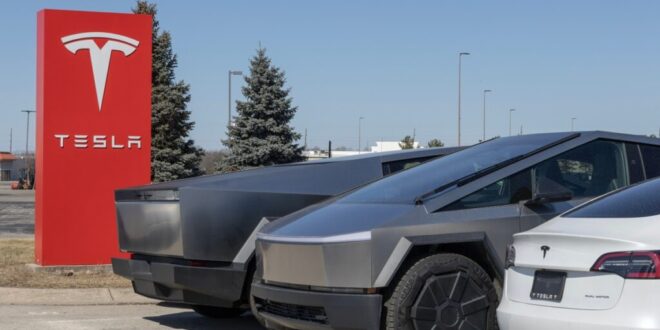 Tesla gears up for Saudi launch as Musk rebuilds ties with the kingdom - CSN News