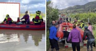Dramatic rescue at flooded dog shelter