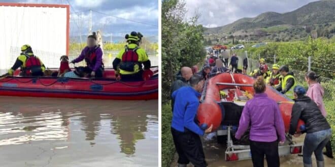 Dramatic rescue at flooded dog shelter