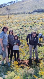 A mountain of hope: 100 volunteers plant to revive Mijas' forests. .