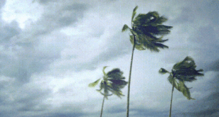 Weather Warning For Gale Force Wind - CSN News
