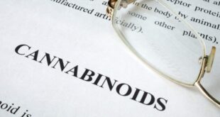 Growing concerns over cannabinoid poisonings - CSN News