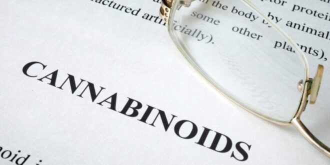 Growing concerns over cannabinoid poisonings - CSN News