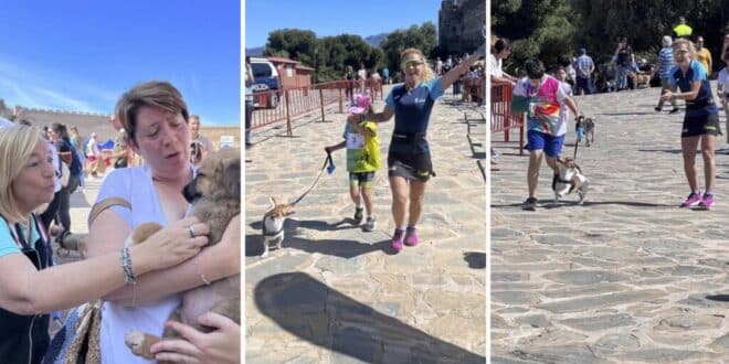 Pups on parade: Fuengirola celebrates Dog Day