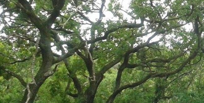 Manilva: an ideal destination to enjoy spring - CSN News