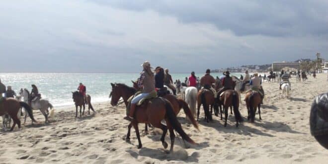 Mijas horses take to the beach - Costa News Spain
