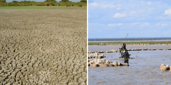 Experts warn Doñana rainfall may not be enough to sustain the park through ever rising temperatures.  - CSN