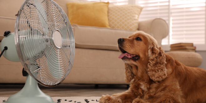 Cool tips for summer savings: Power smart, live smarter - CSN News