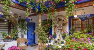 Sunny blooms & hardy greens: Gardening on the Costa Blanca - CSN News