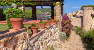 Patio perfection: Stay warm & stylish with heaters and pergolas - CSN News