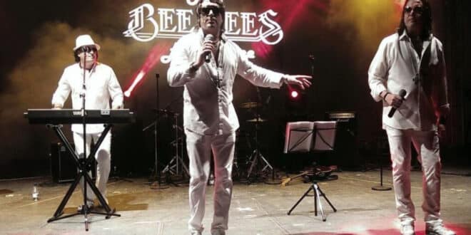 Bee Gees are back!
