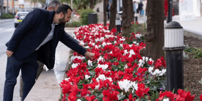Benalmadena in bloom