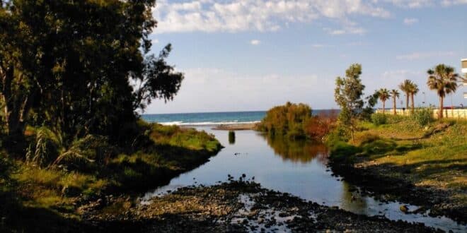 Marbella focuses on bringing back nature