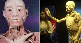 Bodies – shocks and educates