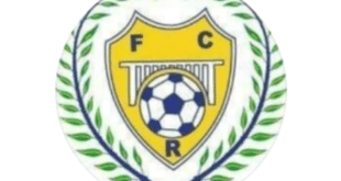 Women’s football coach banned for 6 months for calling referee a “cow” - CSN News