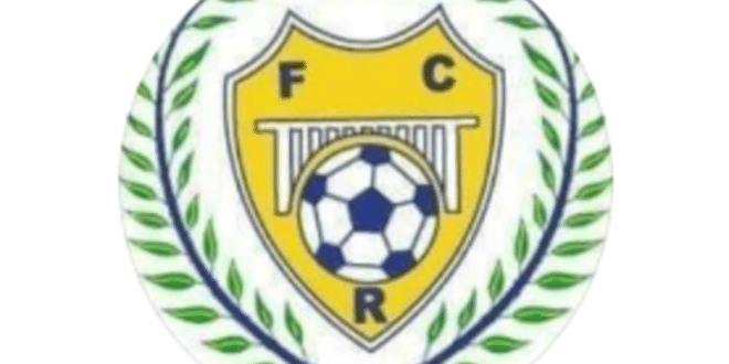 Women’s football coach banned for 6 months for calling referee a “cow” - CSN News