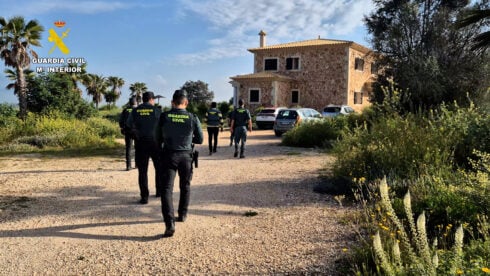 Exotic animal traffickers charged €60k for a panther with Mallorca couple running sales via social media - CSN News