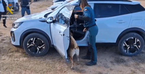 Ibiza’s opening weekend in Spain: Five narco arrests, police assaults, dangerous driving – and 76 people stopped with drugs