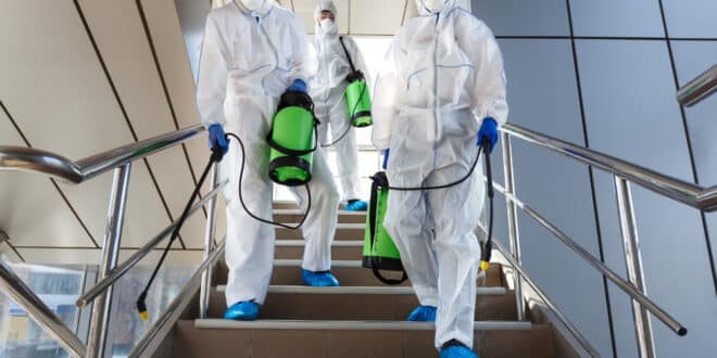 Spain’s Nile virus battle begins after rains boost deadly mosquito threat