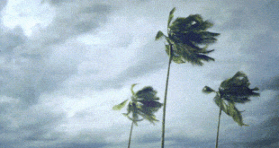 Storm Oliver Wind Warning On Thursday - CSN News