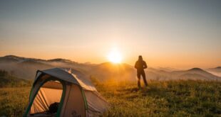 Camping by generation: From Gen Zs to Millennials and Boomers - CSN News