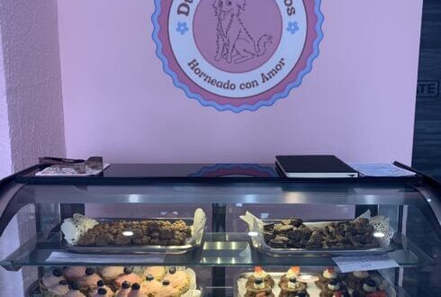 DOGGIE DELIGHTS!: Malaga opens first bakery for pups – and it’s absolutely paw-some - CSN News
