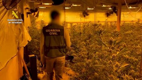 British expat arrested for running ‘sophisticated’ indoor marijuana farm on Costa Blanca