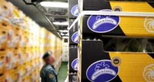 Fruit warehouse could be fined €3m over massive banana scam in Spain