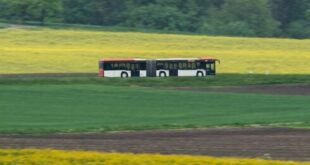 School bus driver tests positive for cocaine while taking children through Malaga mountains