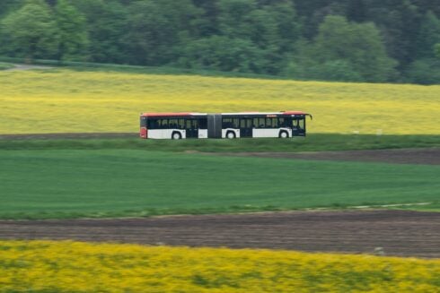School bus driver tests positive for cocaine while taking children through Malaga mountains