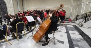 Celebrate 50 years of music with Collegium Musicum