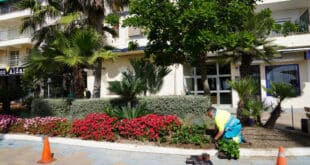 Estepona plants 400,000 flowers to welcome summer