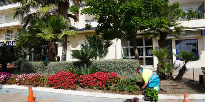 Estepona plants 400,000 flowers to welcome summer